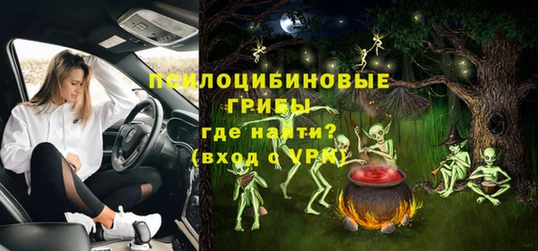 мескалин Бородино