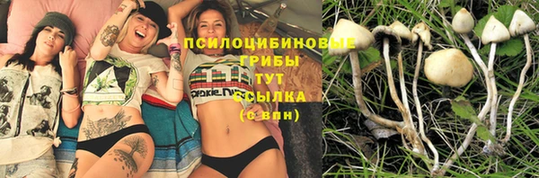 герыч Богданович