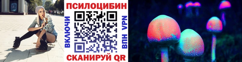 Псилоцибиновые грибы мицелий  shop наркотические препараты  Мирный 